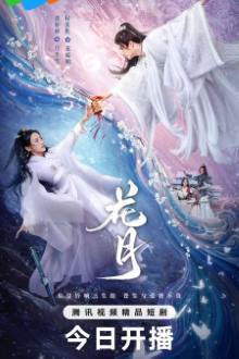 Bloom Once More (2025)