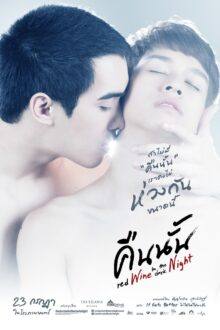 Red Wine in the Dark Night (2015)